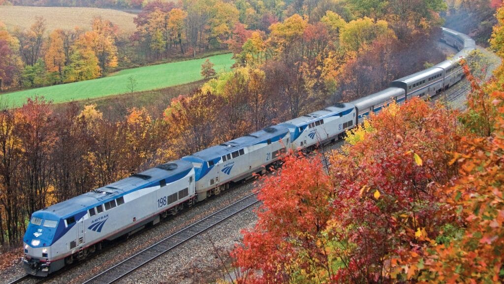 An Amtrak long-distance train travels among rows of autumn leaves in this undated image by the Federal Rail Administration