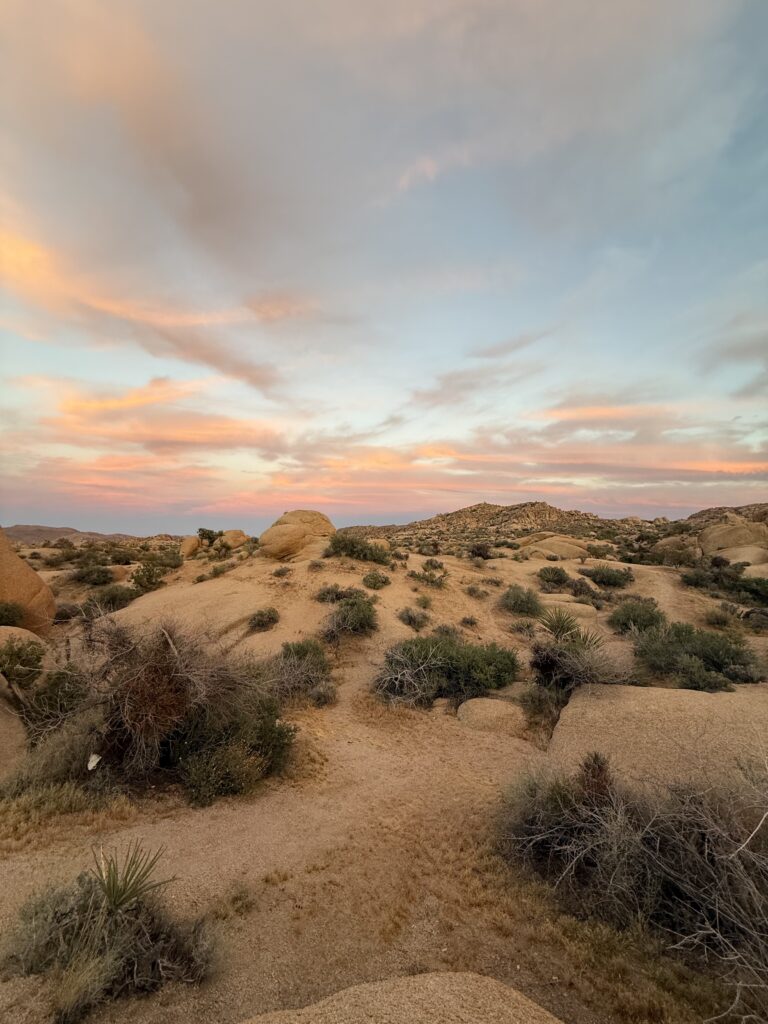 Sunset at Joshua Tree National Park's Jumbo Rocks Campground is seen in this April 2026 photo. (Travis Schlepp. RabbleNews.com)