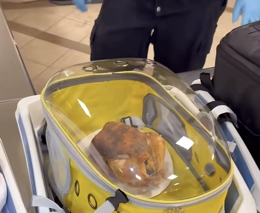 TSA shared this image that purportedly shows a rotisserie chicken that was brought through a security checkpoint at an unidentified airport. (Transportation Safety Administration)