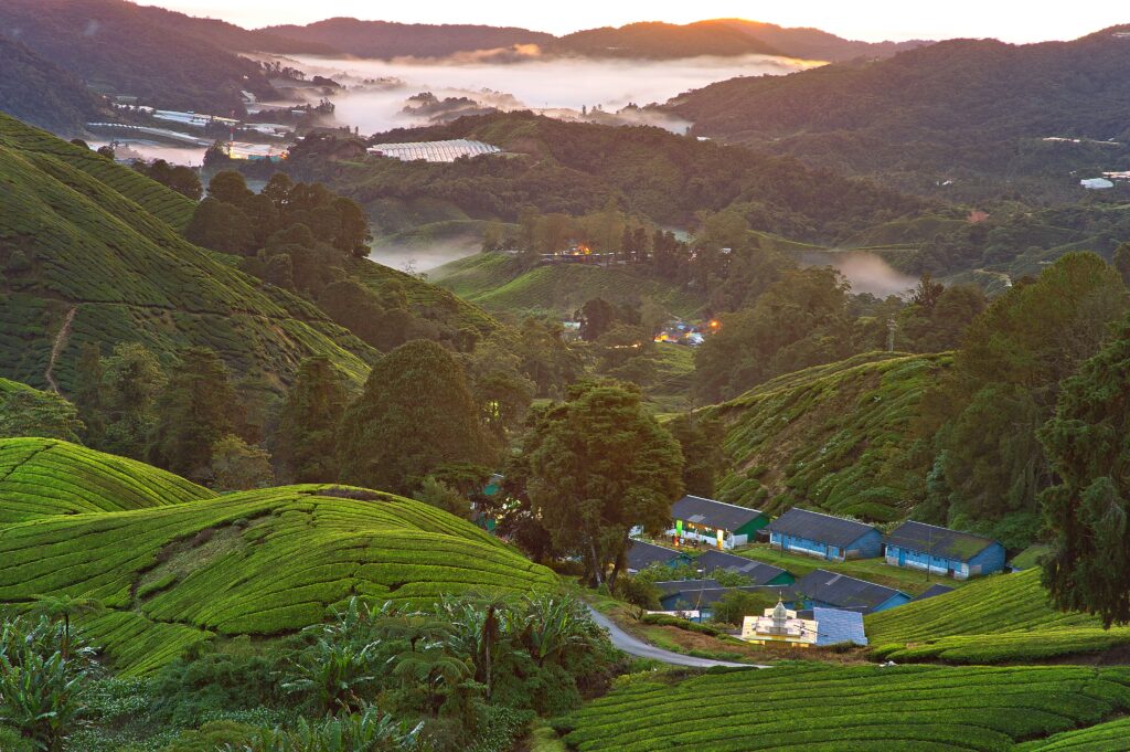 The Cameron Highlands of Malaysia are seen at sunset in this photo from Pexels.com. The Cameron Highlands was named one of Agoda's top Asian nature retreats for 2026