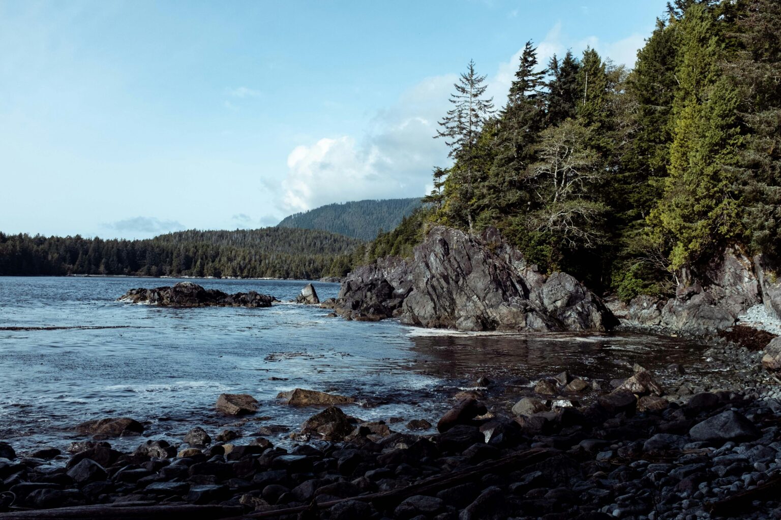 The coast of Vancouver Island in British Columbia, Canada is seen in this November 2019 image from Unsplash.